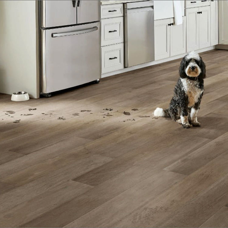 Plancher en bois résistant à l'eau 4mm 5mm PVC Cliquez sur verrouillage Spc plancher Lvp plancher vinyle planche de luxe plancher vinyle avec IXPE