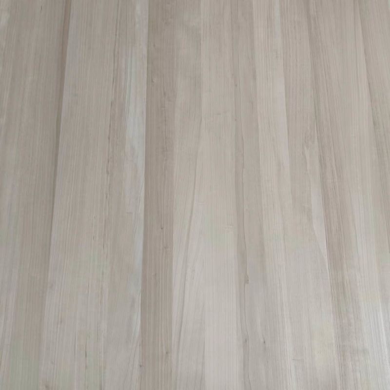 Pâle de peuplier carbonisé Paulownia Prix du bois Pâle de peuplier Panneaux adhésifs à bord solide Pâle de peuplier