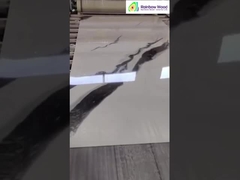 Affichage de feuille de marbre UV fini