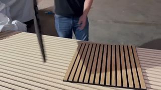 Panneaux muraux insonorisés d'Akupanel d'hôtel