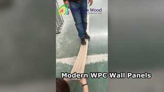 Panneaux muraux WPC pour maisons modernes